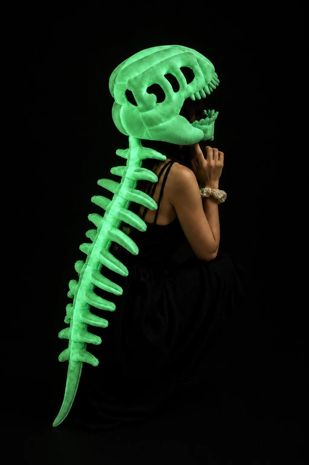 Dinosaur Skeleton