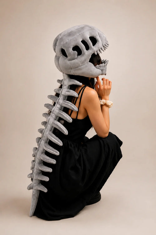 Dinosaur Skeleton
